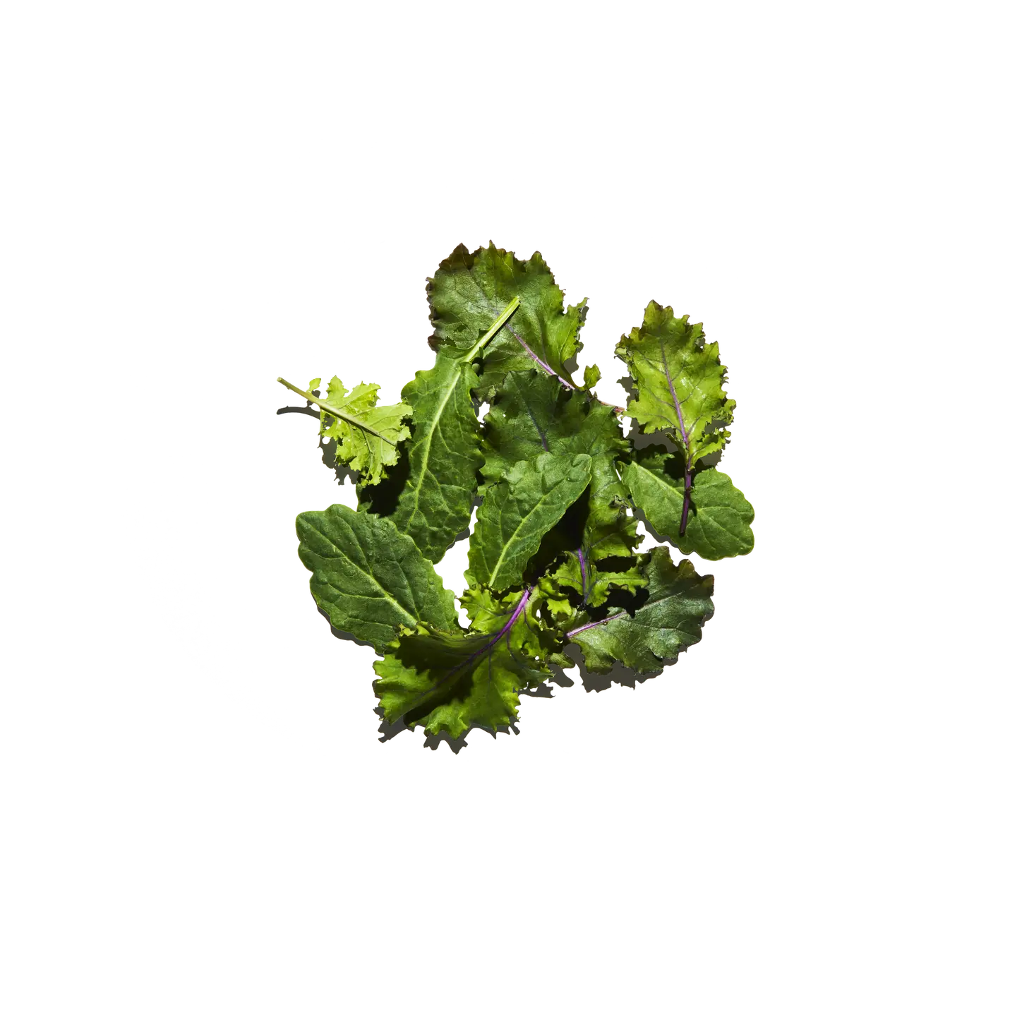 baby kale
