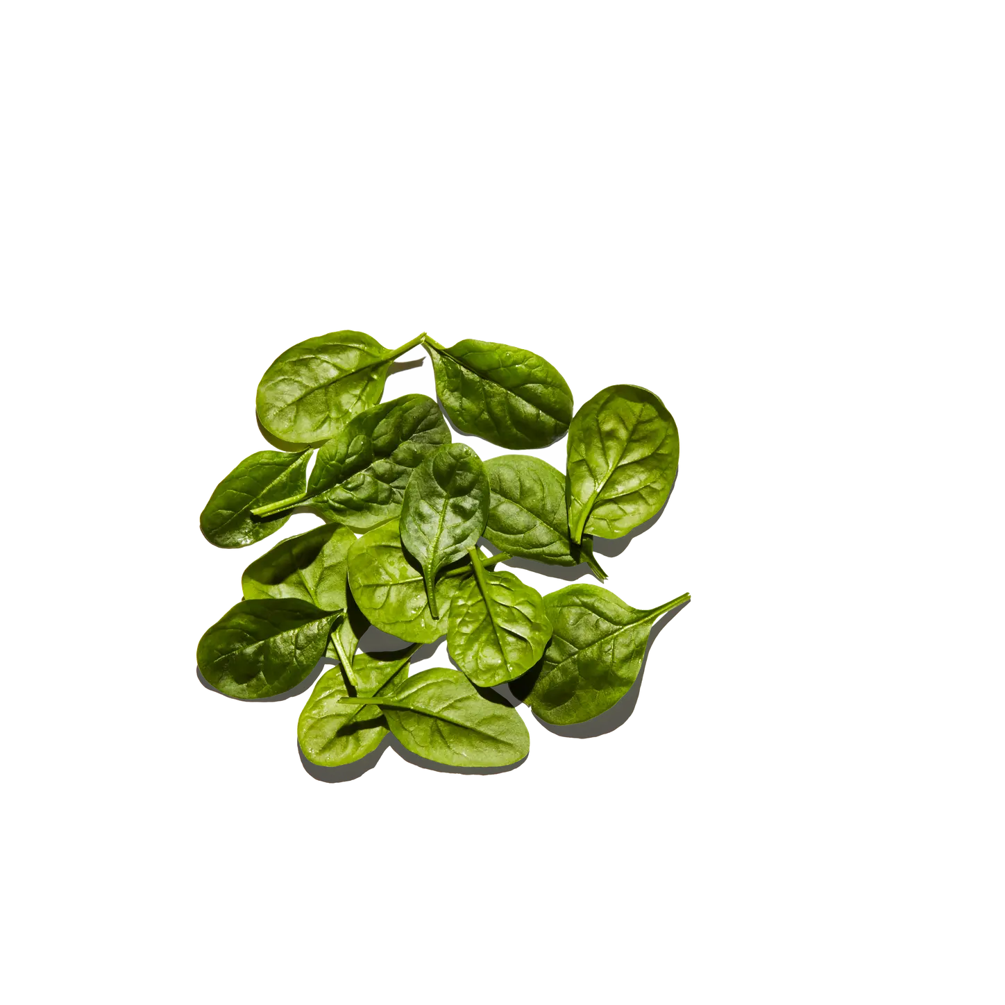 baby spinach