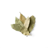 bay leaf