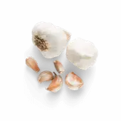 garlic