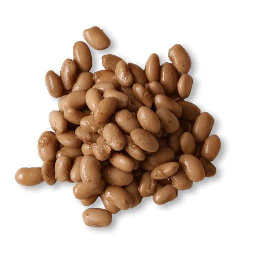 Pinto Beans