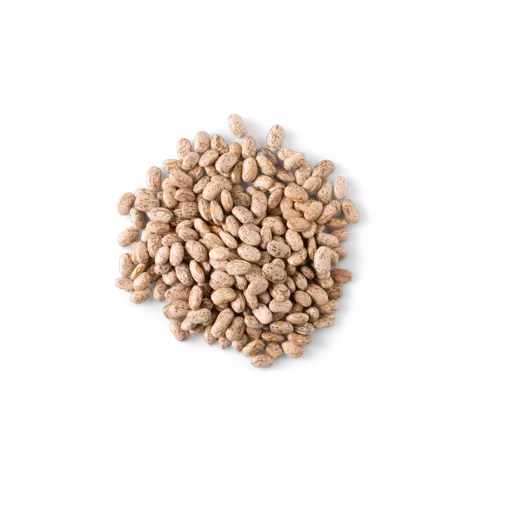 pinto beans