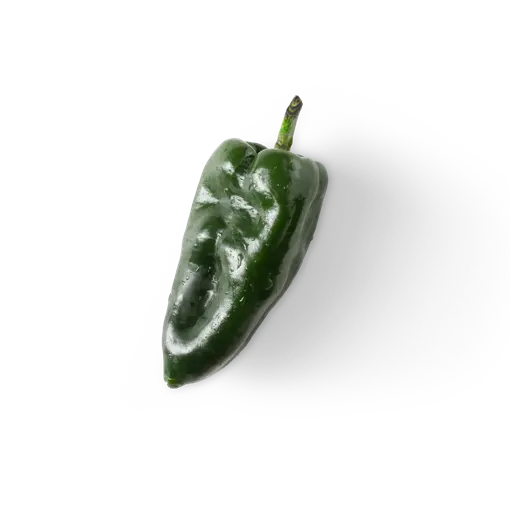 poblano pepper