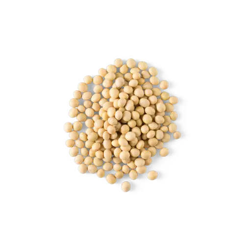 soy beans